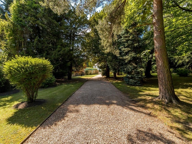 Driveway.