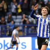 George Byes is one of the Sheffield Wednesday players who has an option on his current contract at the club. (Steve Ellis)