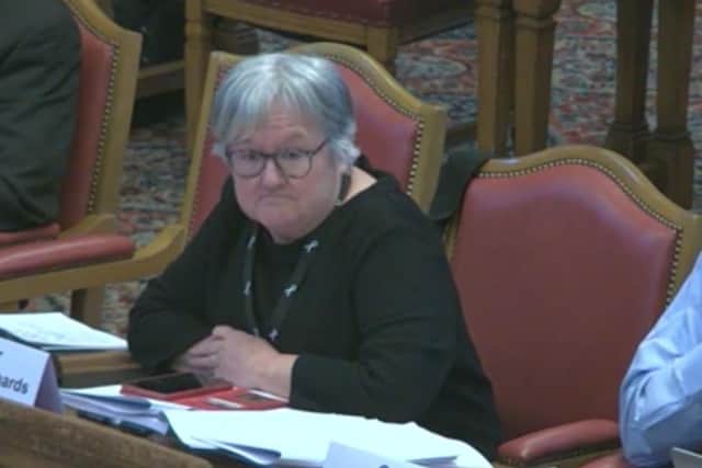 Councillor Sioned-Mair Richards spoke at a Sheffield City Council meeting about anti-social behaviour "making people's lives a misery". Picture: Sheffield Council webcast