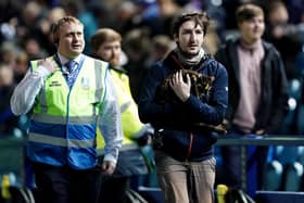 The pitch-invading cat at the Sheffield Wednedday v Wigan Athletic match at Hillsborough was taken away to be cared for while they searched for its owner.