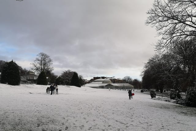 People gathered in Glasgow's Botanic Gardens to pose for photos in the wintry park.