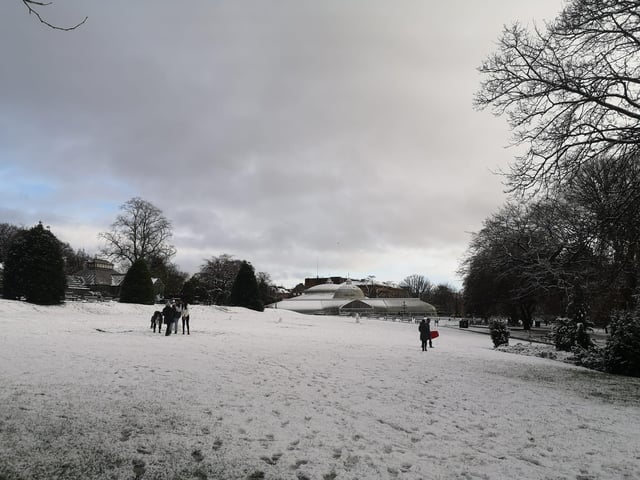 People gathered in Glasgow's Botanic Gardens to pose for photos in the wintry park.