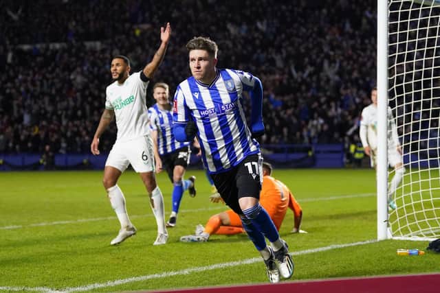 Sheffield Wednesday's Josh Windass celebrates scoring their side's first goal of the game against Newcastle United. (Nick Potts/PA Wire)