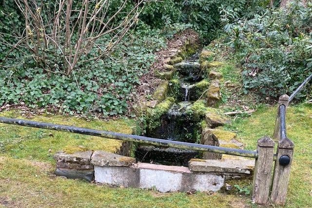 Source of spring taken by Pat Hutchinson