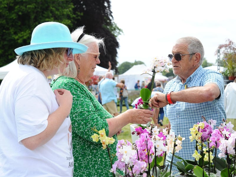 The popular Garden Show at Stansted Park is no more - but it does have a new home nearby after it relocated for 2025. Now taking place at Rookesbury Park in Southwick Road, Wickham on July 25, 26 and 27, it will showcase specialist growers, garden-related goods, artisan crafts, homeware, fashion accessories, and delightful country foods. Visitors can enjoy daily talks, expert advice, activities for all ages, and a vibrant mix of music and entertainment.
Tickets and more information at https://www.thegardenshows.com/rookesbury-park/home/
