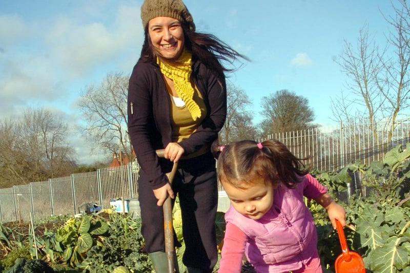 Were you pictured at the Briarfields Allotments in 2008?