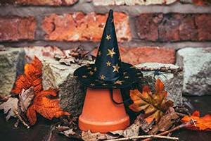 Your pooch may prefer to keep it simple this Halloween, with this trendy witches hat from Pets at Home. bit.ly/3dimNm5 (Photo: Pets at Home)
