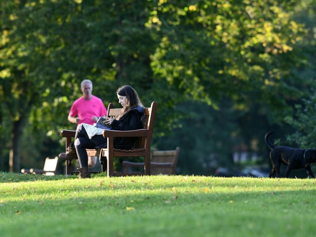 Reading in the Autumn sun.