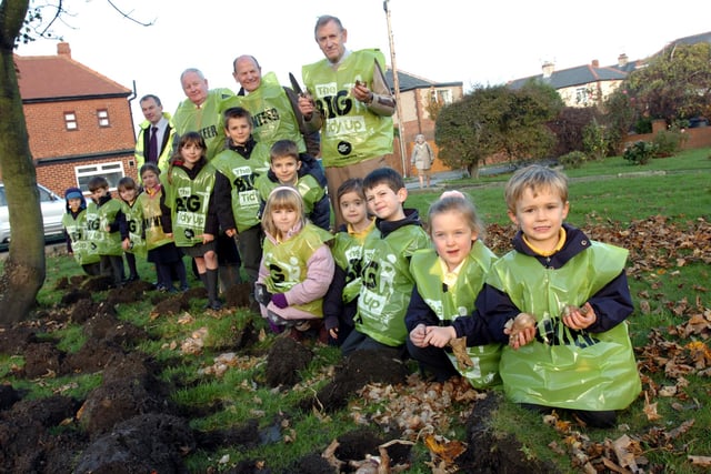 Planting bulbs on Dene Lane, Fulwell nine years ago. More than 3,000 bulbs were planted by pupils from both the infants and junior schools.