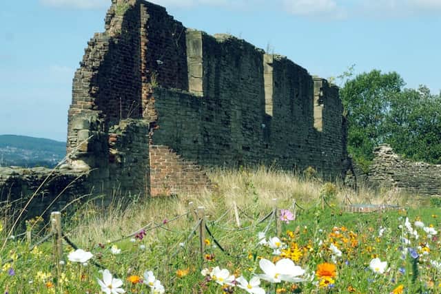 Meadow and ruined wall at Manor Lodge taken by David Bocking