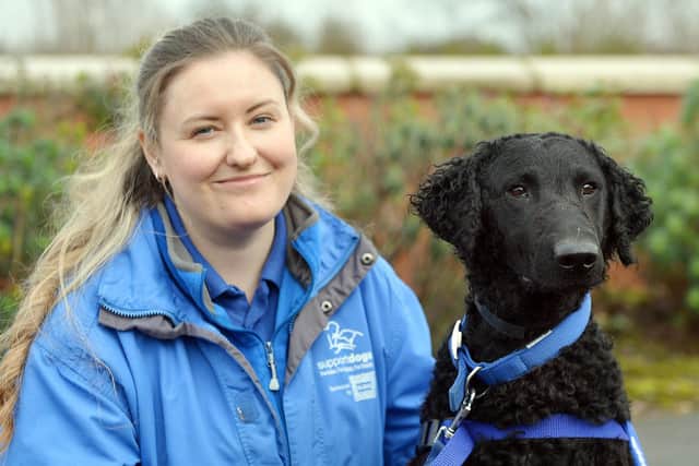 Sheffield Support Dogs - for autism for epilepsy for disability. Trainer Danielle Kennedy with trainee support dog Bess.