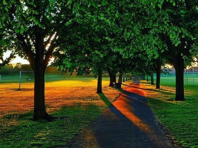 A quiet park pathway from @shivneel1604