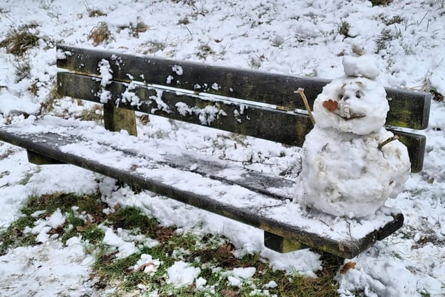 A lone snow man in Rookery Park. From Syd Greig.