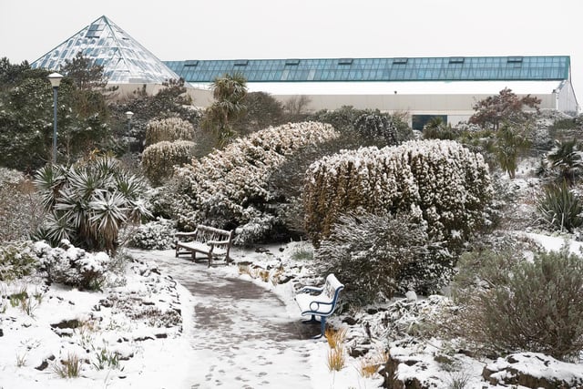 The Rock gardens covered in snow in March 2018. Picture: Keith Woodland