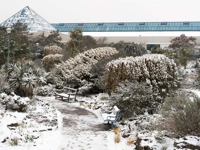 The Rock gardens covered in snow in March 2018. Picture: Keith Woodland