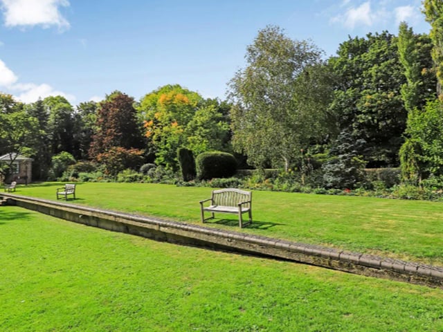 The view of the garden from the house