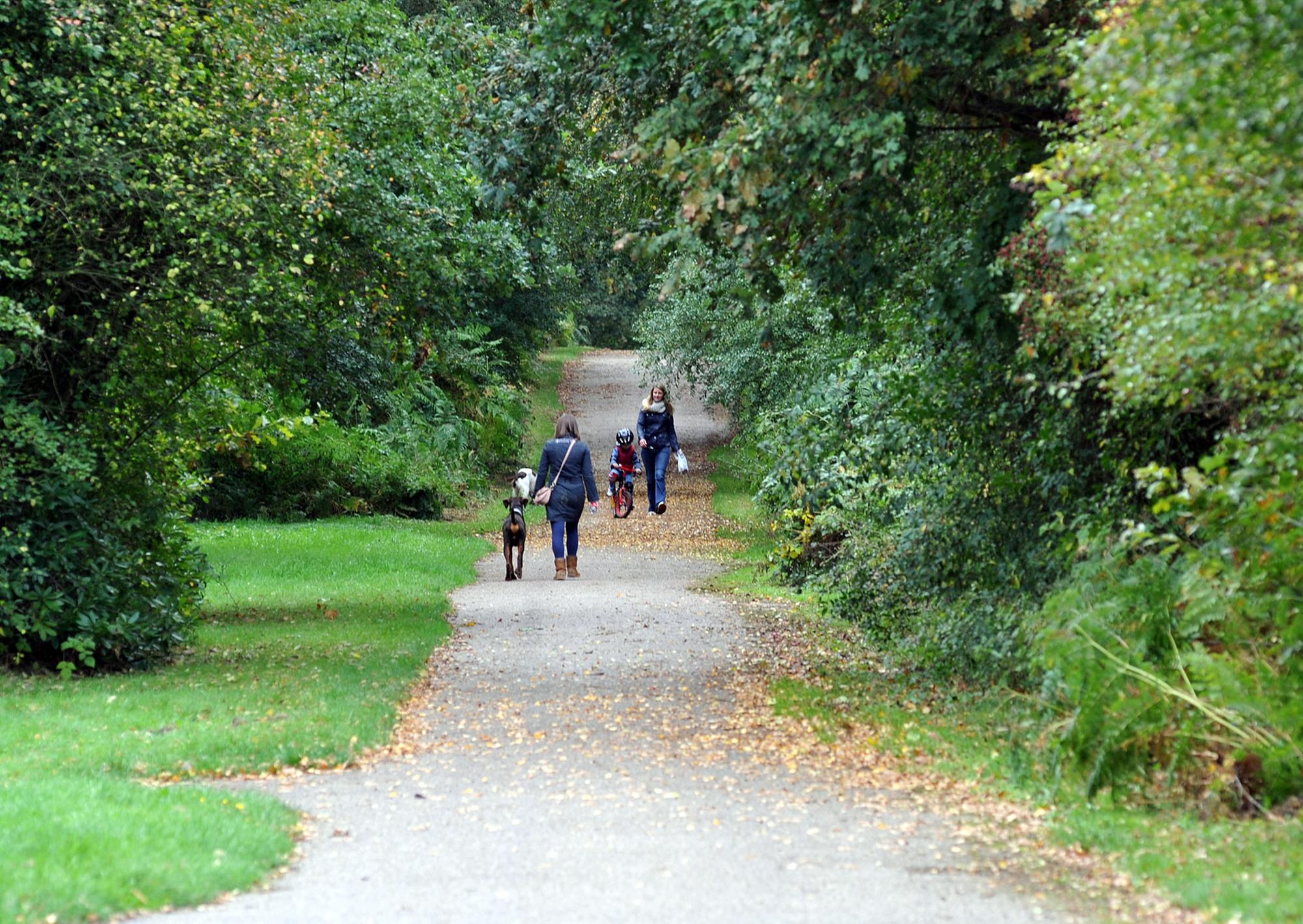 10 things you can do this weekend in Mansfield and Worksop.