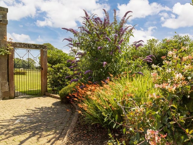 Gardens.