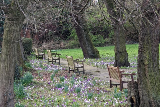 Spring in Beauchief Gardens by Roger Hart
