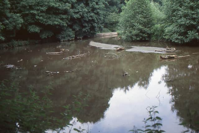 Forge Dam, pictured when it was gradually silting up. Credit: Friends of Porter Valley 