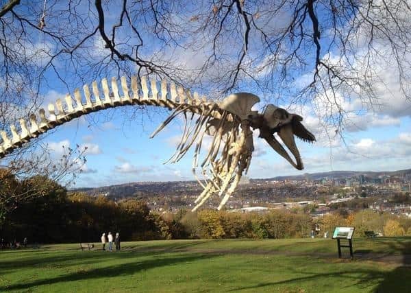 The four-metre long skeleton was previously displayed in Meersbrook Park for a limited period.