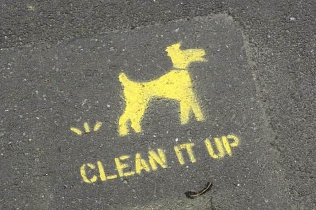 No fines were issued over dog fouling in Sheffield during 2022, with just 19 owners fined over the last five years for failing to clean up after their dogs