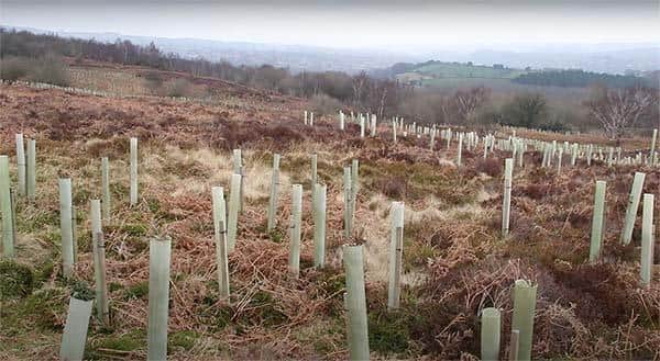 The scheme, which was started by the Eastern Moors Partnership, was facilitated by Ecclesall ward Green Party candidate, Peter Gilbert.