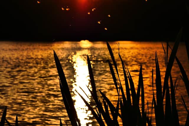 Sunset at Elsecar Reservoir (pic: Sam Wragg)