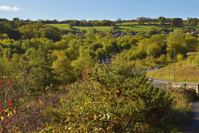 Green space: Owlthorpe Fields in Sheffield, which are now set to be protected from housing development following a four-year campaign by Owlthorpe Action Group