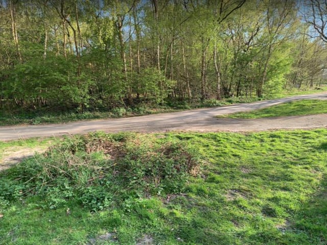 Bestwood Country Park Circular is a picturesque 5.0 kilometre loop trail located near Hucknall.