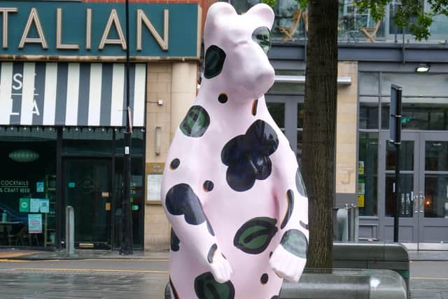 The bears of Sheffield have appeared around the city raising money for the Children's Hospital Charity