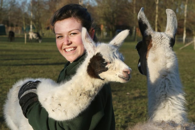 White Post Farm has everything from llamas to meerkats for you to see. Remember to you have to book in advance.