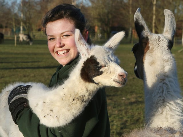 White Post Farm has everything from llamas to meerkats for you to see. Remember to you have to book in advance.