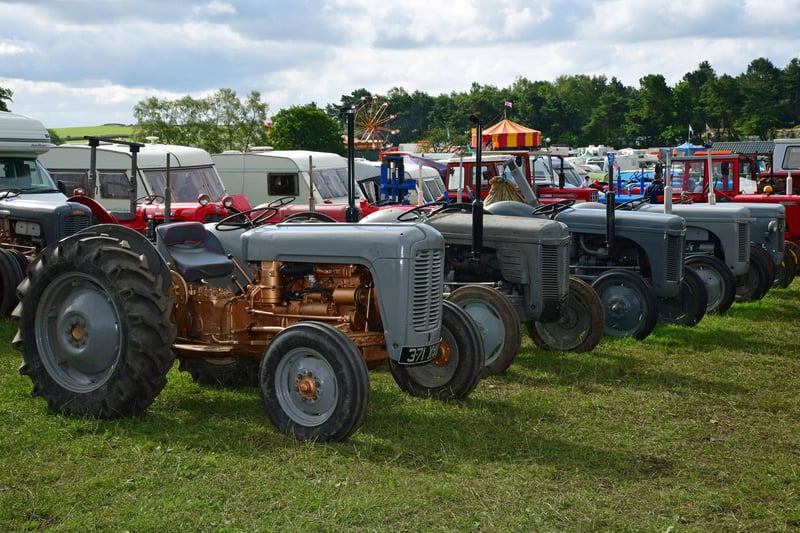 Visitors were able to see the inner workings of these old tractors' engines.