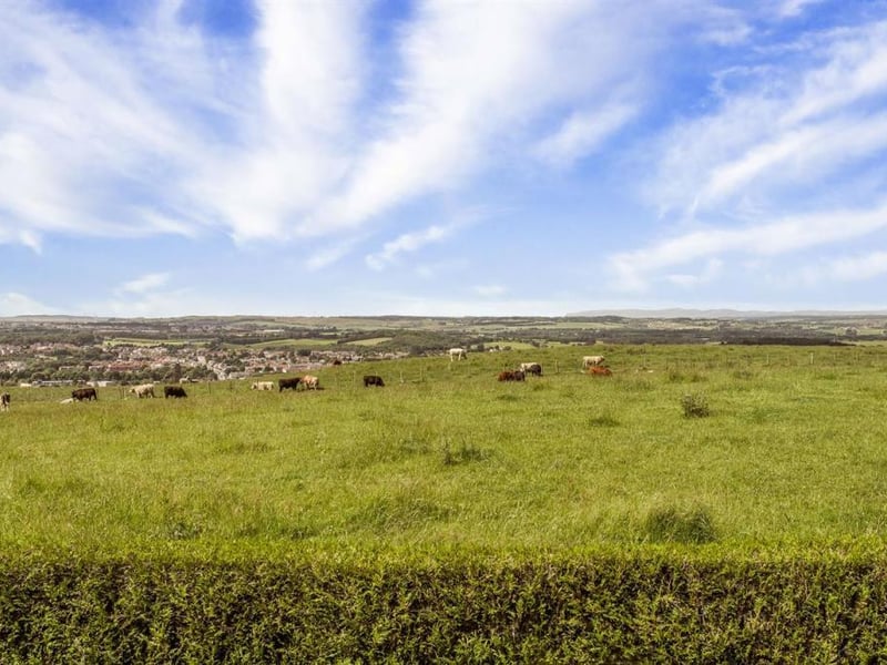 Panoramic views.