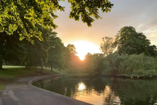 Lucy Clarke says: "One of my favourites taken in Hillsborough Park."