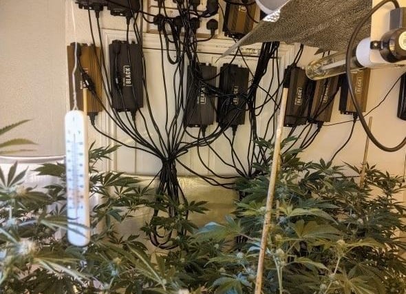 In August, police raided two homes in Hillsborough and found cannabis plant worth £750,000. One was on Penistone Road and the other on Owlerton Green.
