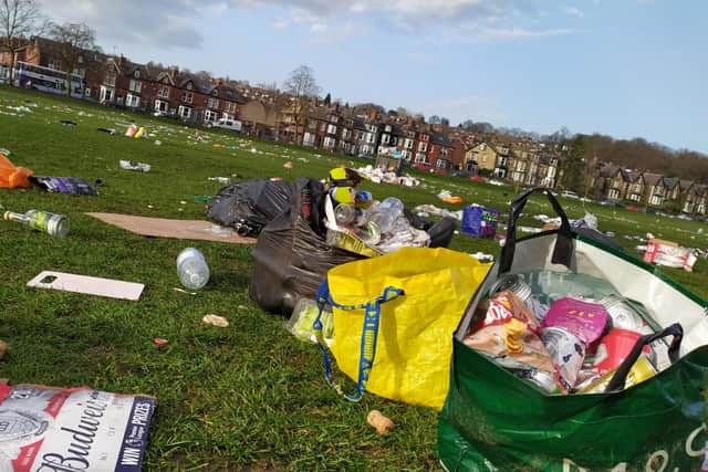 Rubbish in Endcliffe Park
