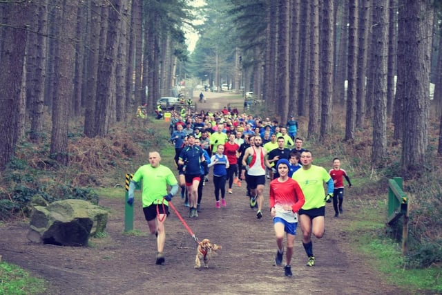 What a sight as dozens of runners follow the tree-lined course, with its stone paths and trail paths, at Sherwood Pines Forest Park at Kings Clipstone. Runners have to register only once providing they take along a scannable copy of their barcode on subsequent outings. The average finishing time here is just over half an hour, with the course records held by John Beattie and Vikki Hubbard.