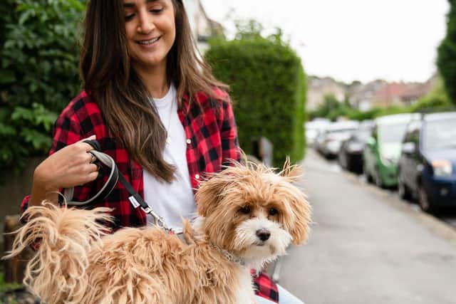 Bebe the Maltipoo puppy with owner Sarah Ahmed. He has become a canine celebrity after landing a lucrative television role after being talent spotted. Picture: Emily Nicholson, Pet Stories
