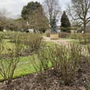 Sheffield Botanical gardens sent in by Ellen Beardmore