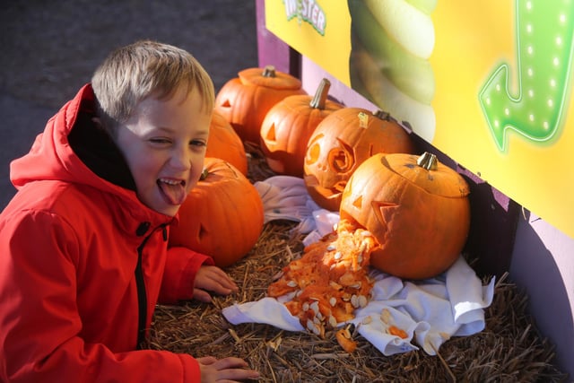 Robin Hoods Wheelgate Park is hosting some spooky activities including, pumpkin picking and carving, and classes on 'how to fly with your broomstick', October 17 to November 1.