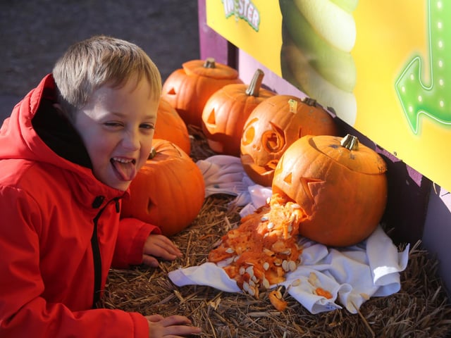 Robin Hoods Wheelgate Park is hosting some spooky activities including, pumpkin picking and carving, and classes on 'how to fly with your broomstick', October 17 to November 1.