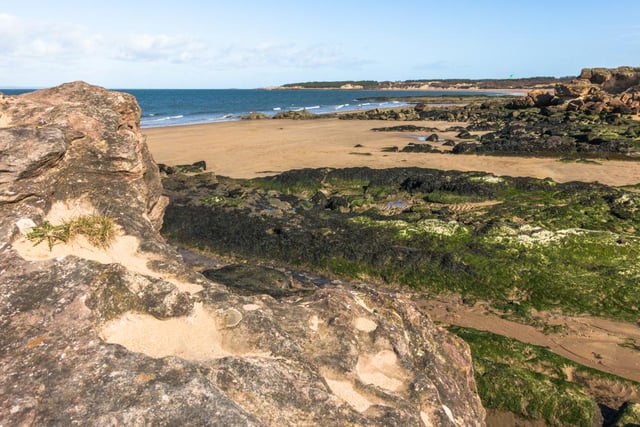 Situated 18 miles east of Edinburgh, the near-deserted Aberlady Bay boasts a nature reserve and splendid views across the sea to Arthur’s Seat. It’s a quiet spot perfect for escaping the hustle and bustle of the city (Photo: Shutterstock)