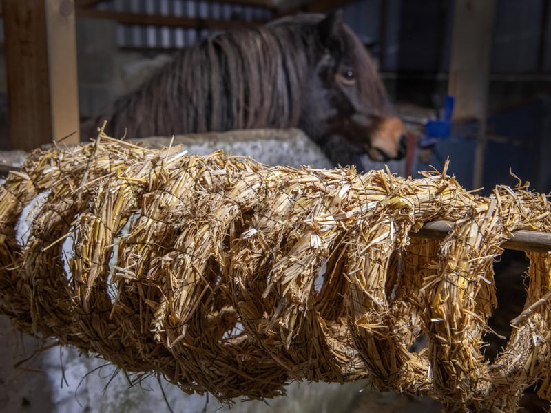 Get creative and craft your own beautiful Christmas wreath at the Wreath Making Workshop at Temple Newsam Home Farm. Using natural materials, you'll learn the skills to create a stunning decoration for your front door. 📍 Temple Newsam Home Farm, Temple Newsam Road, Leeds, LS15 0AE