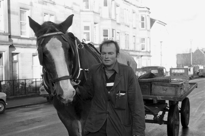 Jimmy Hume with 'Ginger' the oldest Scotmid milk horse.  due to retire when the company stops milk horse doorstep deliveries in December 1984 