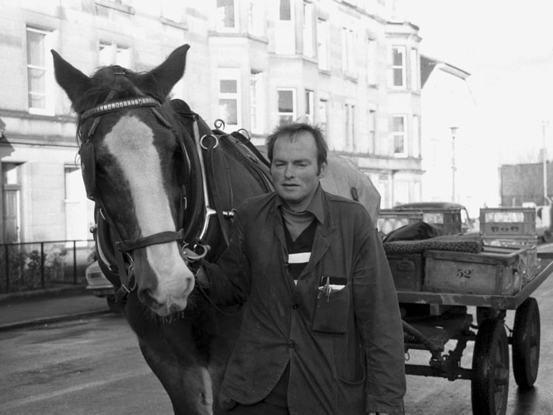 Jimmy Hume with 'Ginger' the oldest Scotmid milk horse. due to retire when the company stops milk horse doorstep deliveries in December 1984