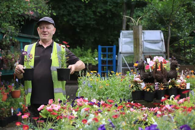 Stuart Roome working in the garden centre at Heeley City Farm. Picture: Chris Etchells