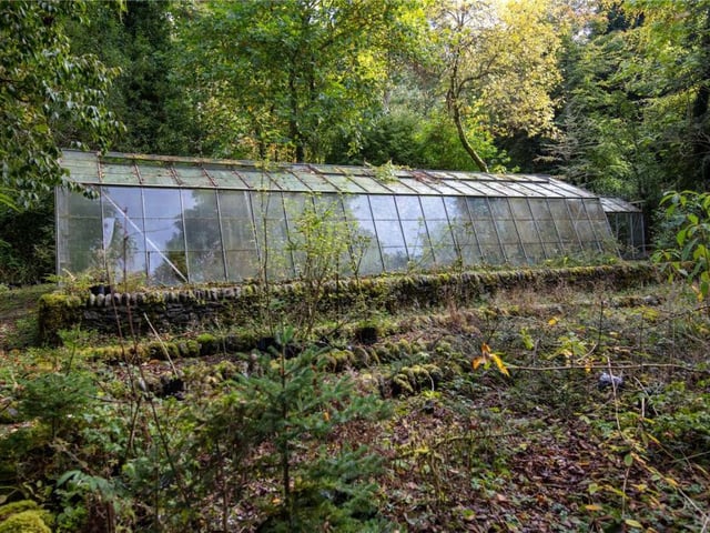 Greenhouse.