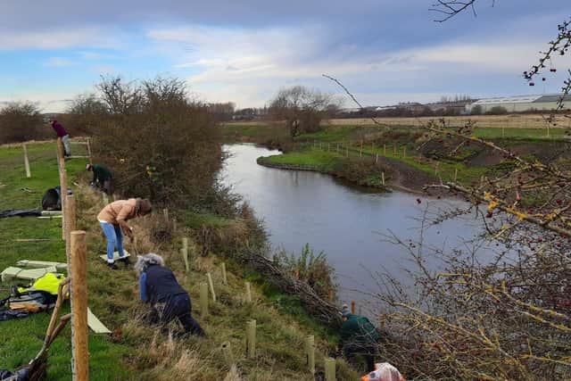 Project at at Sheffield and Rotherham Wildlife Trust’s Woodhouse Washlands nature reserve